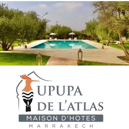 Upupa De L'Atlas Oulad el Guern Экстерьер фото