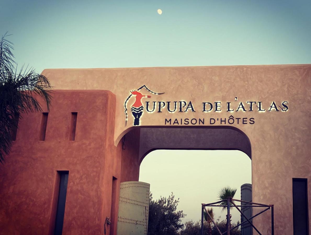Upupa De L'Atlas Oulad el Guern Экстерьер фото