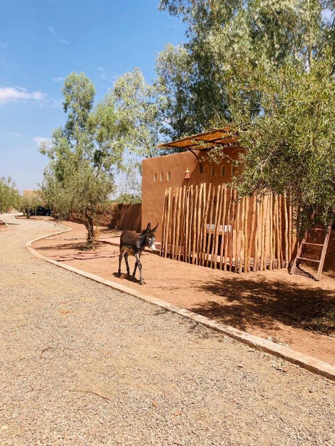 Upupa De L'Atlas Oulad el Guern Экстерьер фото