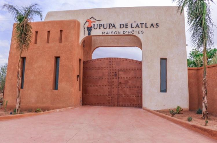 Upupa De L'Atlas Oulad el Guern Экстерьер фото