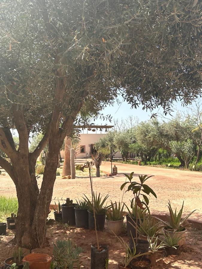 Upupa De L'Atlas Oulad el Guern Экстерьер фото